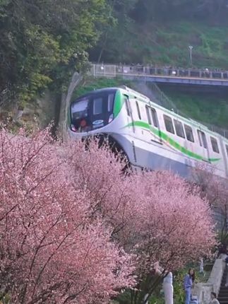 马上出发！开往春天的列车带你邂逅山城春色