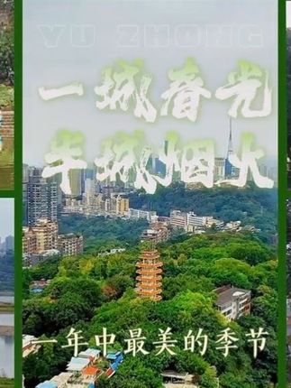 一城春光 半城烟火