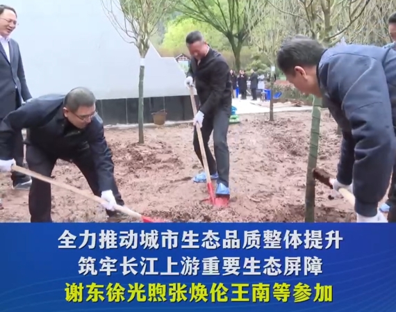渝中区开展义务植树活动 为高质量发展提供绿色支撑#重庆渝中#渝中新闻