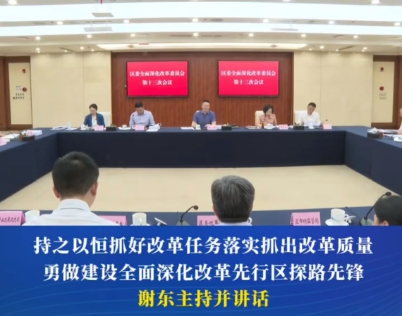 渝中区委全面深化改革委员会召开第十三次会议