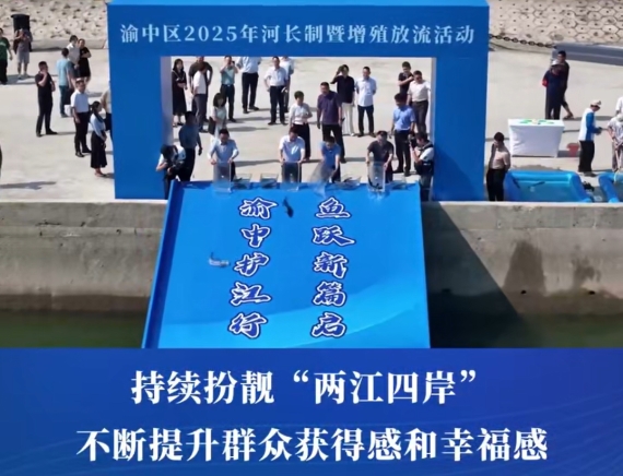 渝中区委副书记、区长、区总河长谢东开展巡河调研参加增殖放流活动