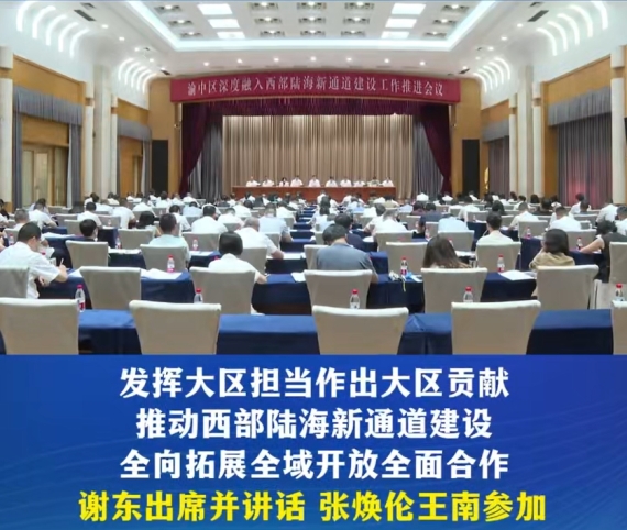 渝中区召开深度融入西部陆海新通道建设工作推进会#重庆渝中#渝中新闻