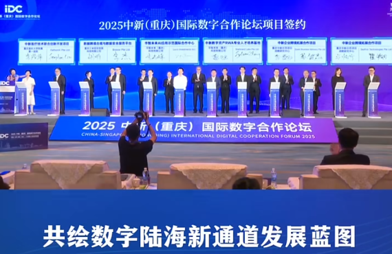 2025中新（重庆）国际数字合作论坛在渝中举行#重庆渝中#渝中新闻