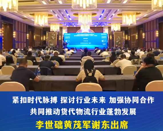2025年中国国际货代物流行业发展论坛暨中国国际货代物流行业发展蓝皮书（2024）发布会在渝中举行#重庆渝中#渝中新闻