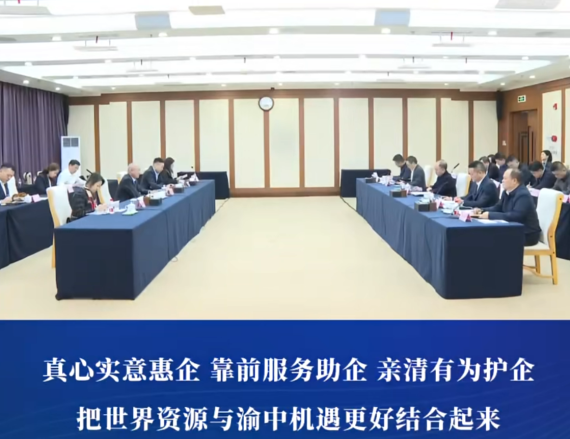 渝中区领导黄茂军谢东会见出席全球渝商大会嘉宾#重庆渝中#渝中新闻