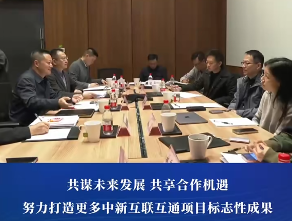 渝中区委副书记、区长谢东会见中国新加坡商会会长王子元一行#重庆渝中#渝中新闻