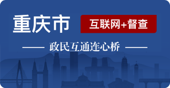 重庆市“互联网+督查”