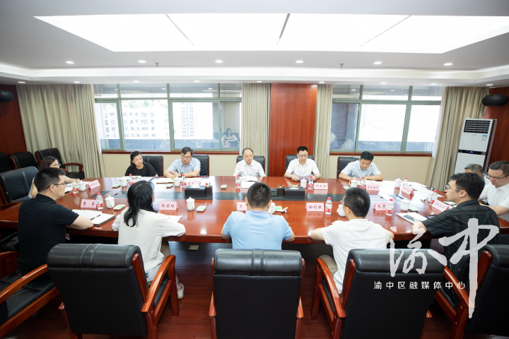 渝中区委副书记区长黄茂军会见龙湖集团重庆公司总经理黑鹏一行持续