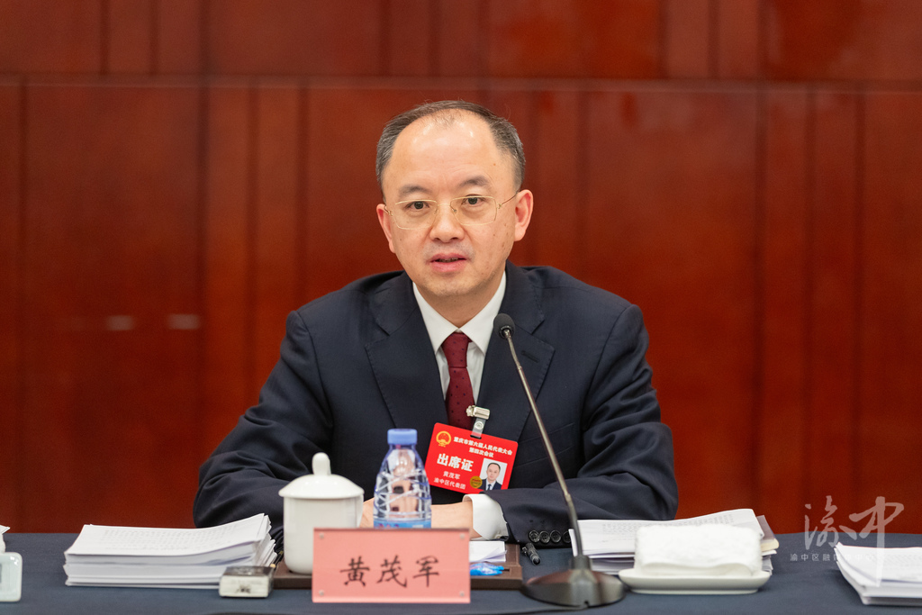 市人大代表、副市长、渝中区委书记黄茂军审议市政府工作报告时表示：抢抓新机遇 深挖新潜能 拓展新空间