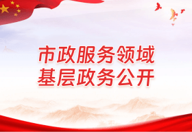 市政服务领域
