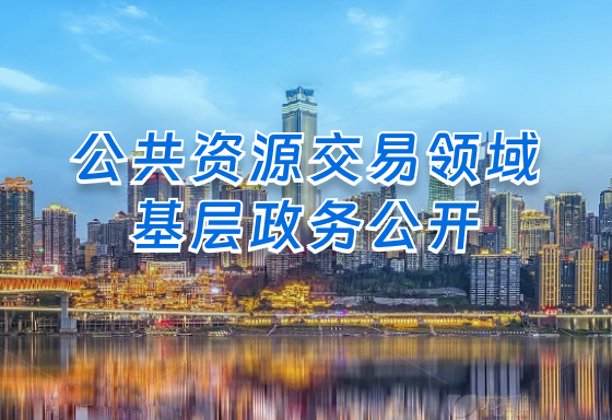 公共资源交易领域