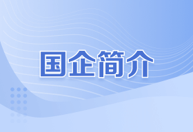 国企简介