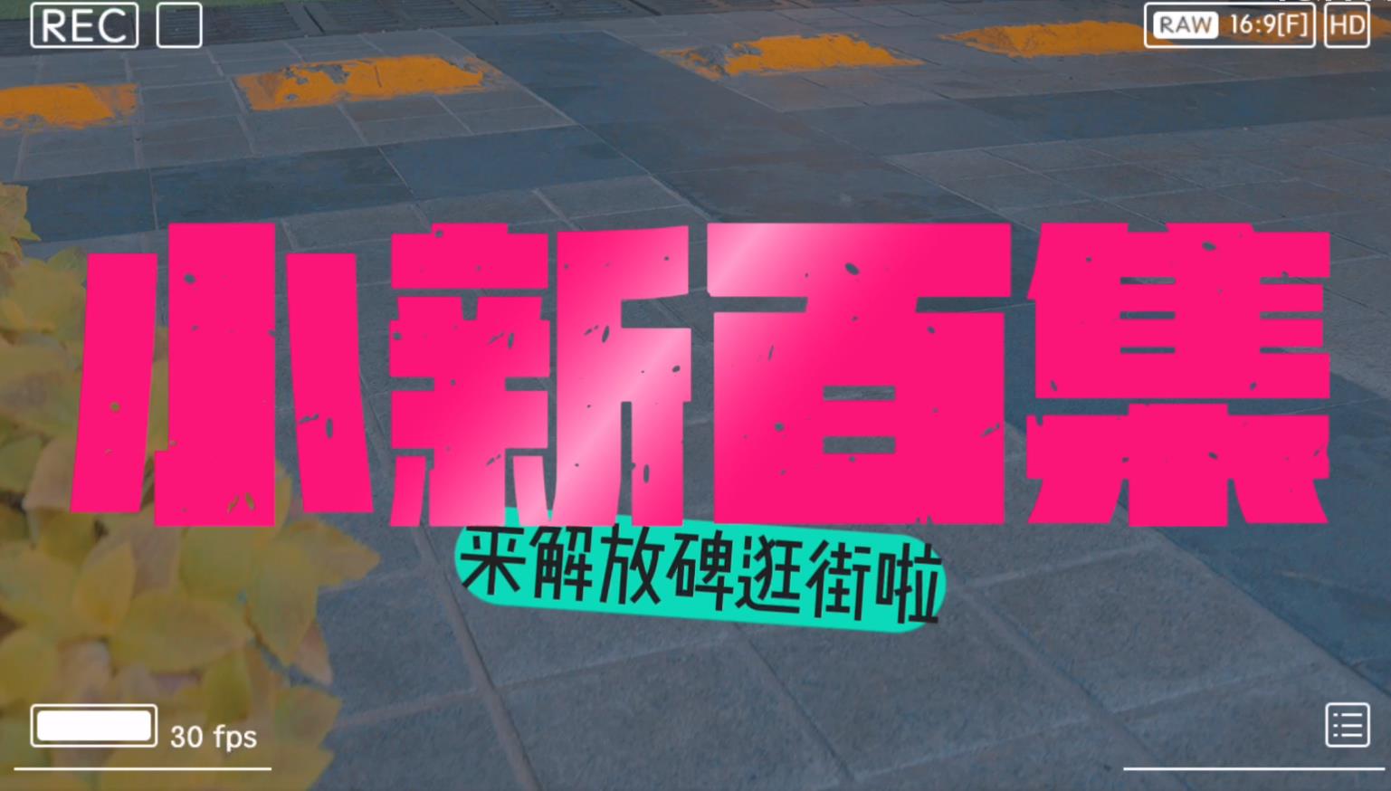 来解放碑逛街啦——小新百集