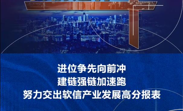 视频 | 渝中区政府副区长罗毅：进位争先向前冲 建链强链加速跑 努力交出软信产业发展高分报表