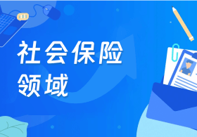 社会保险领域